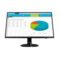 HP N246v 23.8''Monitor