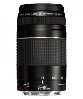 Canon Lens EF 75-300mm f/4.0-5.6 III