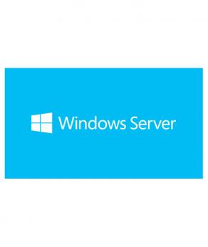 Windows OEM Server CAL 2019 5 Kullanıcı İngilizce
