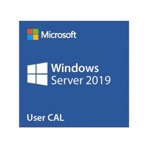 Windows OEM Server CAL 2019 5 Kullanıcı Türkçe