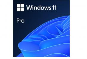 Windows OEM 11 Pro 64Bit İngilizce
